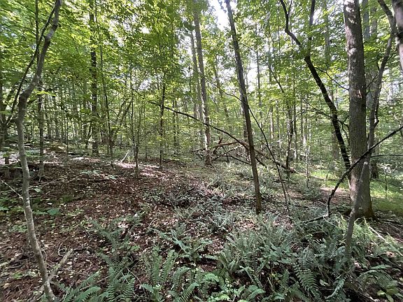 3rd image of LOT 8 Preservation Forest Ln Lot 8