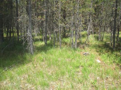 4155 Cascade Ave, Island Park, ID, 83429