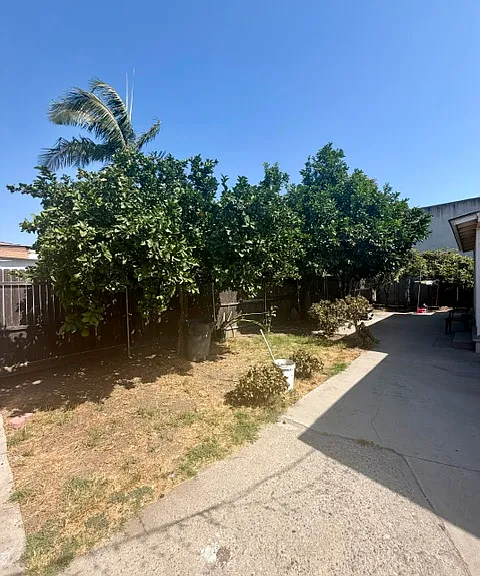 Front yard