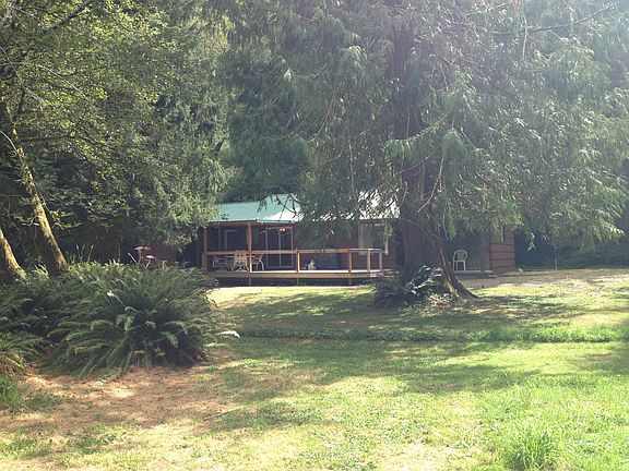 Yard View 2