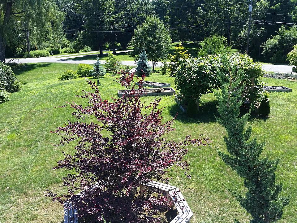 View from deck