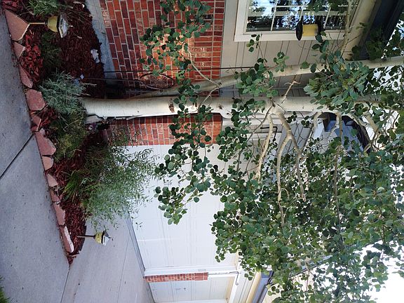 Large 3-car garage w/storage