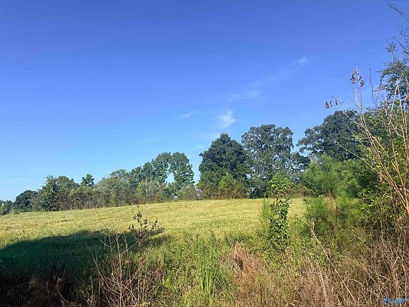 3rd image of 31 County Road 158