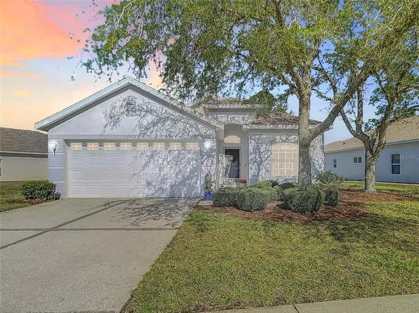 23901 Coral Ridge Ln, Land O Lakes, FL 34639