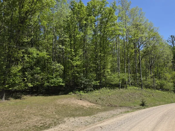 4796 90th Ave, Evart, MI 49631