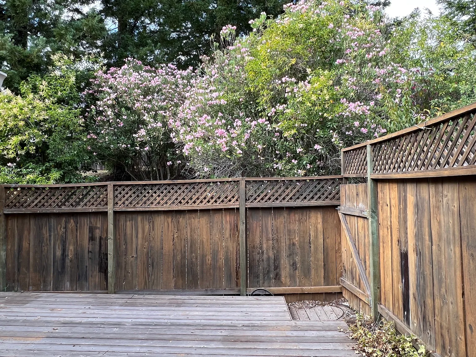2 bed, 2.5 bath, 1656 sqft, $3,950 — Photo 3