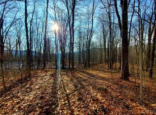 7200 Kent Rd, Ellicottville, NY 14731