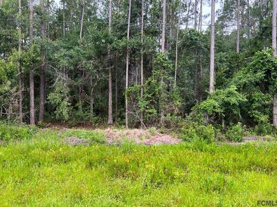 4665 W State Road 100, Bunnell, FL, 32110