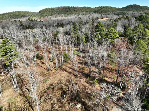 TRACT 4 Acheson Ln, Mena, AR 71953