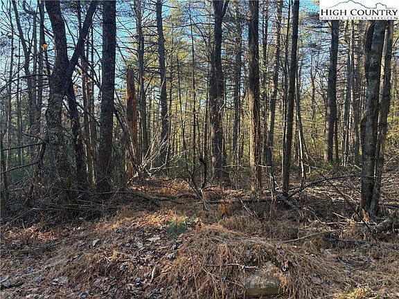 2nd image of Lot #24 Eagles Nest Lane