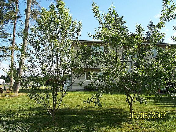 looking through the fruit trees