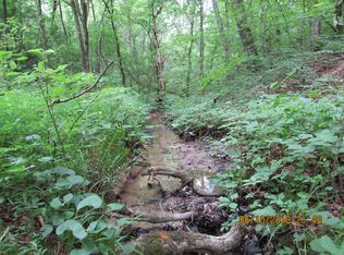 W Hogan Ln, Greeneville, TN 37743