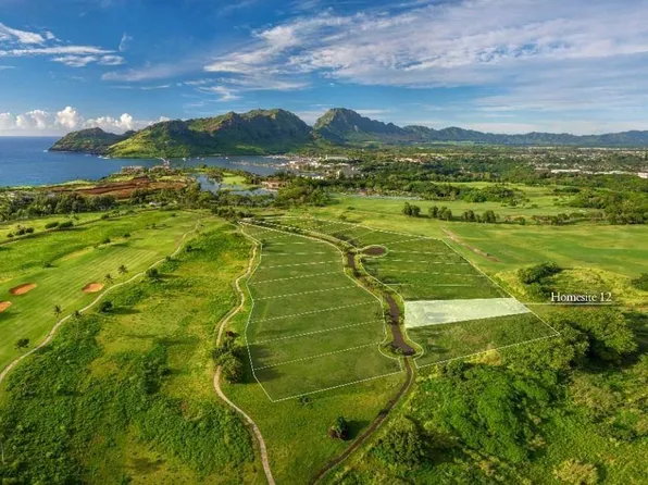 Pohaiula Pl Lot 12, Lihue, HI 96766