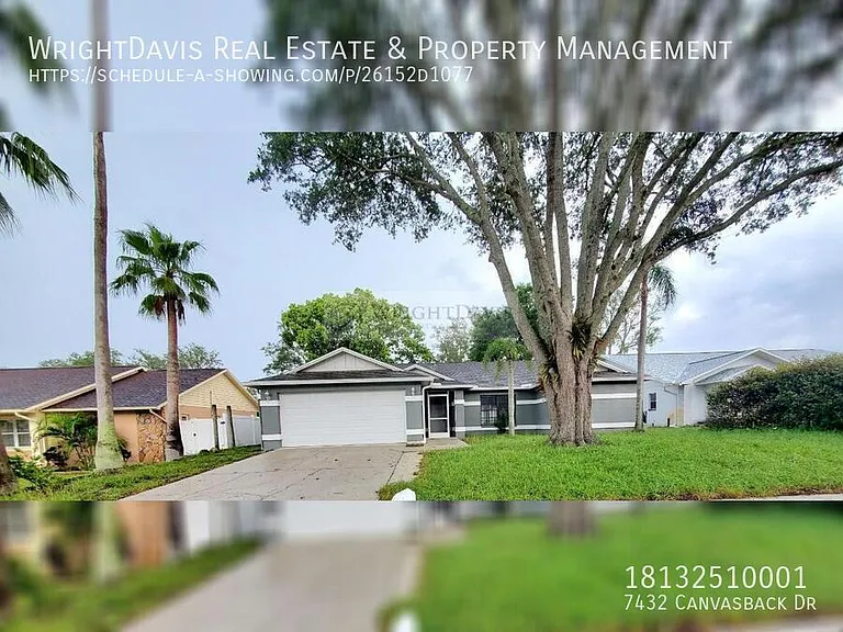 7432 Canvasback Dr — Photo 3