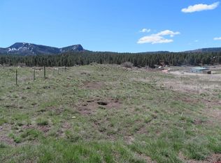 71 Petitts Cir, Pagosa Springs, CO 81147