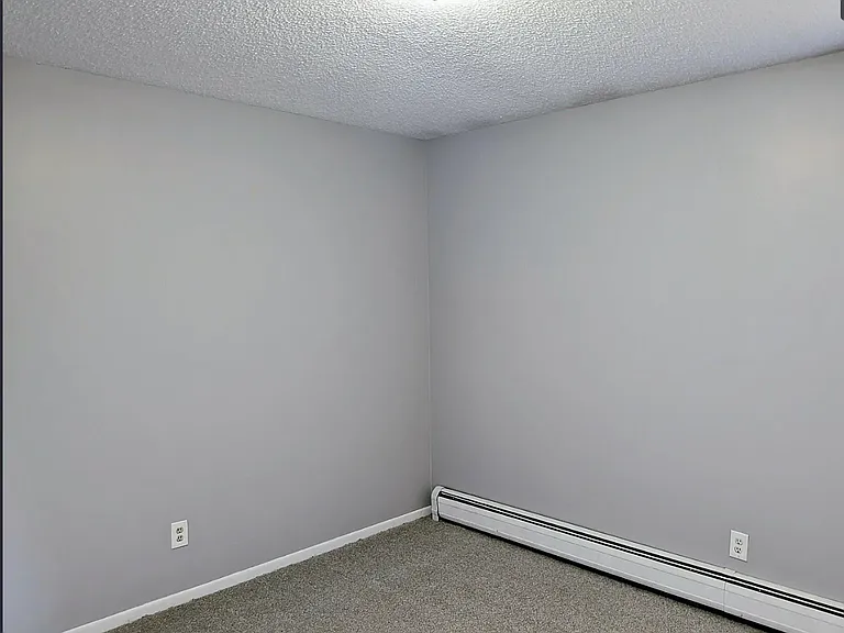 303 W Elizabeth St #1 — Photo 9