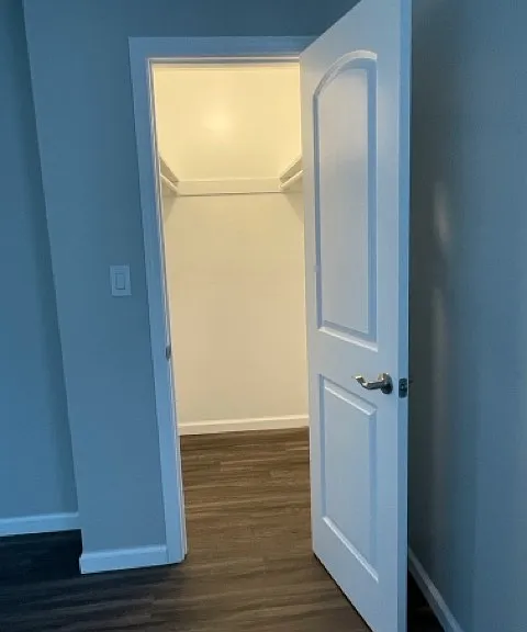 Seond bedroom walk-in closet