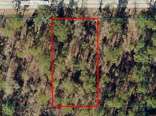 LOT 15 NW Hillsdale Ave LOT 15, Dunnellon, FL 34431