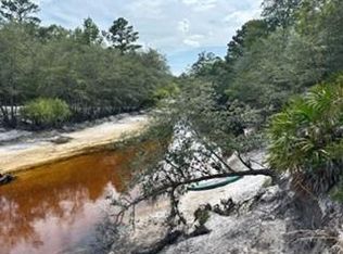 0 Saint Marys River Blf LOT D-30, Saint George, GA 31562