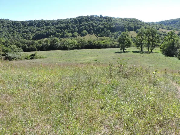 0 Terrapin Rd, Harrison, AR 72601