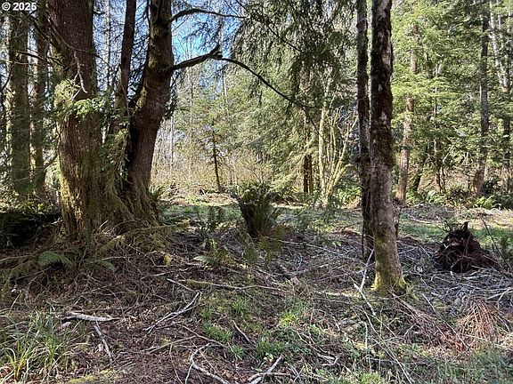 3rd image of Cinnabar Lot 4