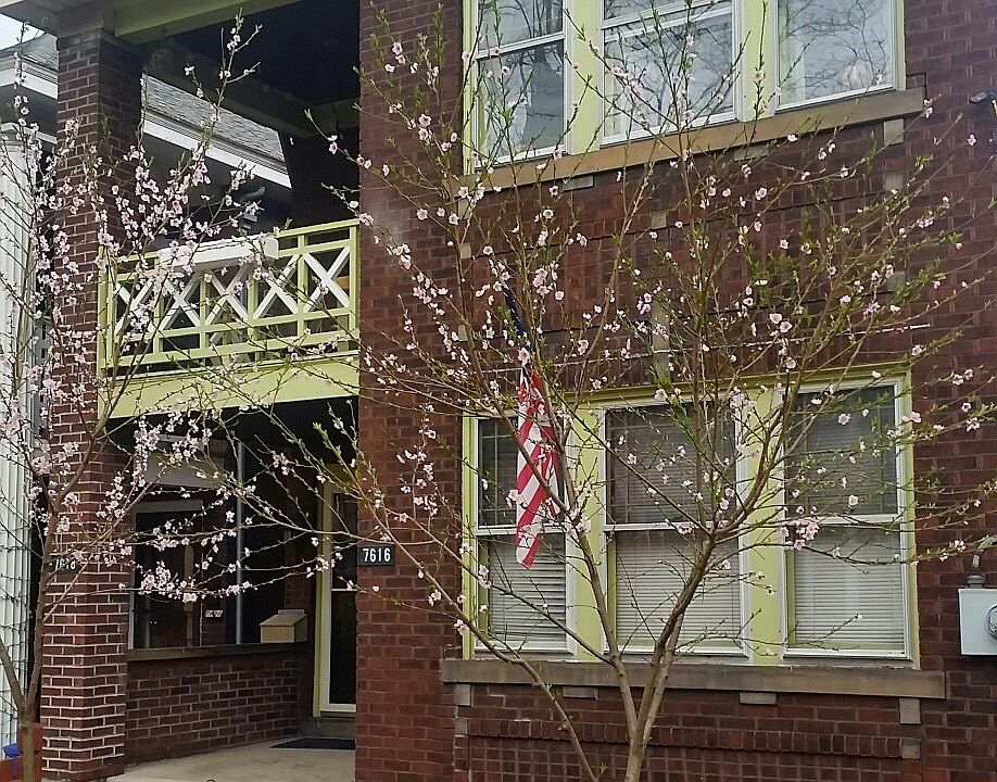 Front yard