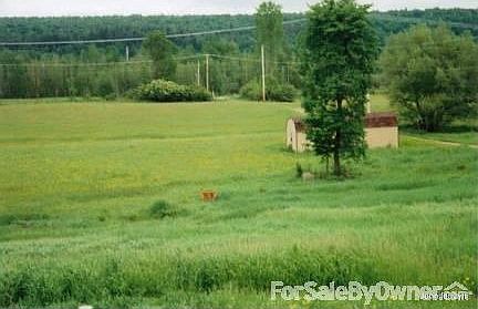 View from where concrete pad sits. Notice the deer? Property is loaded w/ them