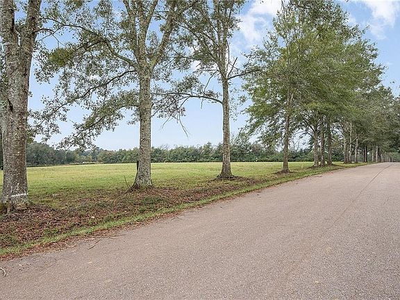 4th image of 12294 Quaglino Rd