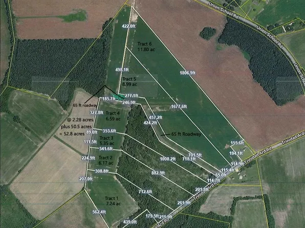 TBD Tract 5 Trinidad Ard Rd, Coward, SC 29530