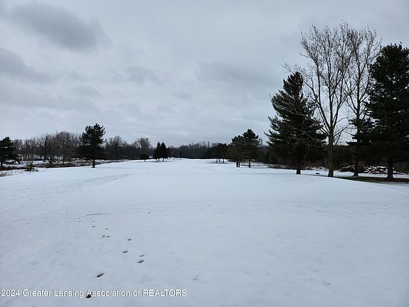 3rd image of W Saginaw Hwy