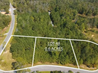 48 Pennisula Lake Cir, Houston, AL, 35572