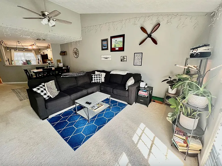 152 Photinia Dr — Photo 3