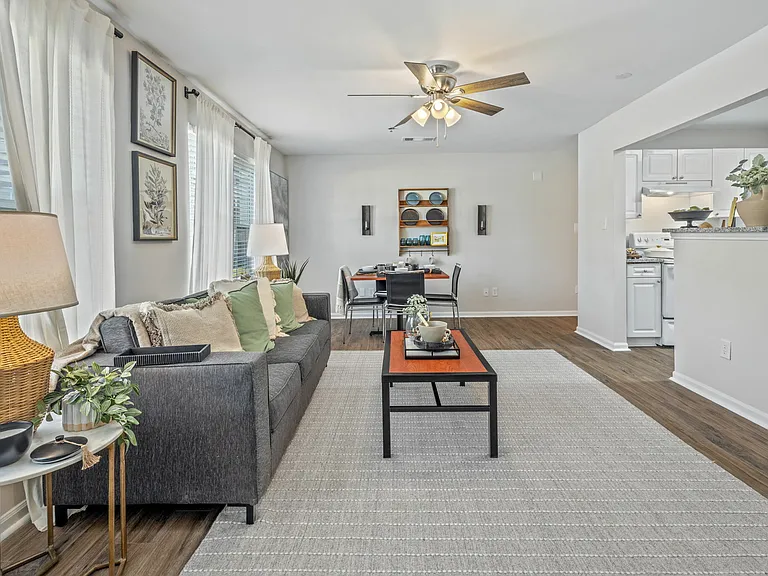 Contemporary Living Room with Wood-Style Flooring and Ceiling Fan