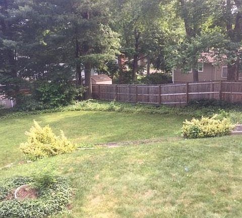 Large partially fenced lot