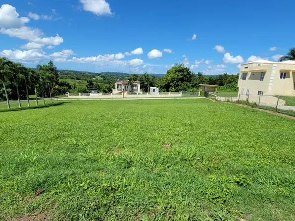 Carr 111 Bo Pozas Sec Puente Nuevo Solar #3, San Sebastian, PR 00685