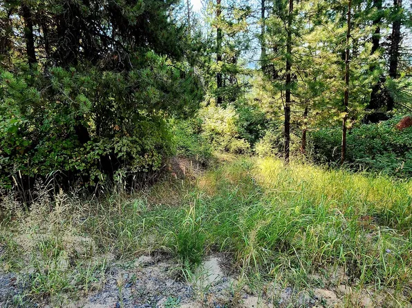 203 Meadowlark Dr, Fernwood, ID 83830