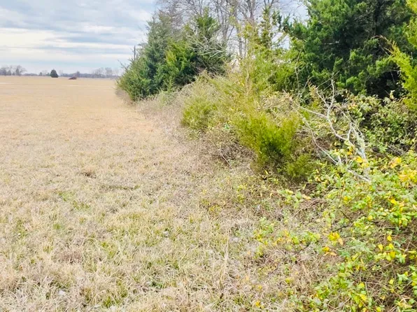 Fm 196 S, Pattonville, TX 75468