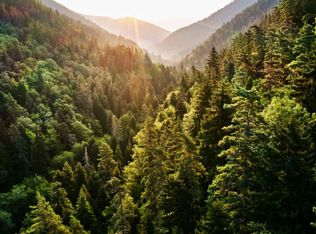 33015 Falling Leaf Ln, Arrowbear Lake, CA 92382