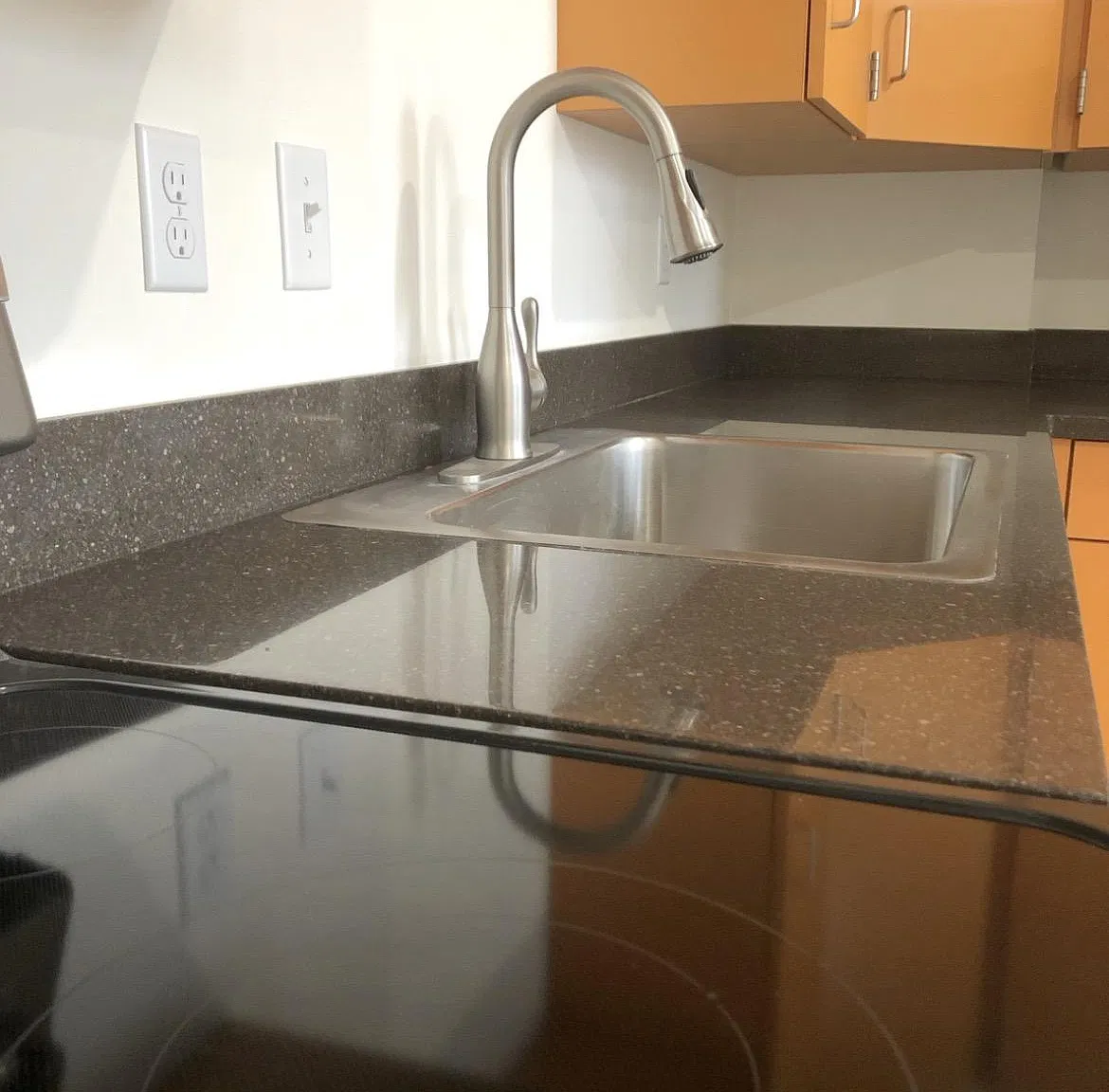 1 bed, 1.0 bath, 800 sqft, $1,695 — Photo 4