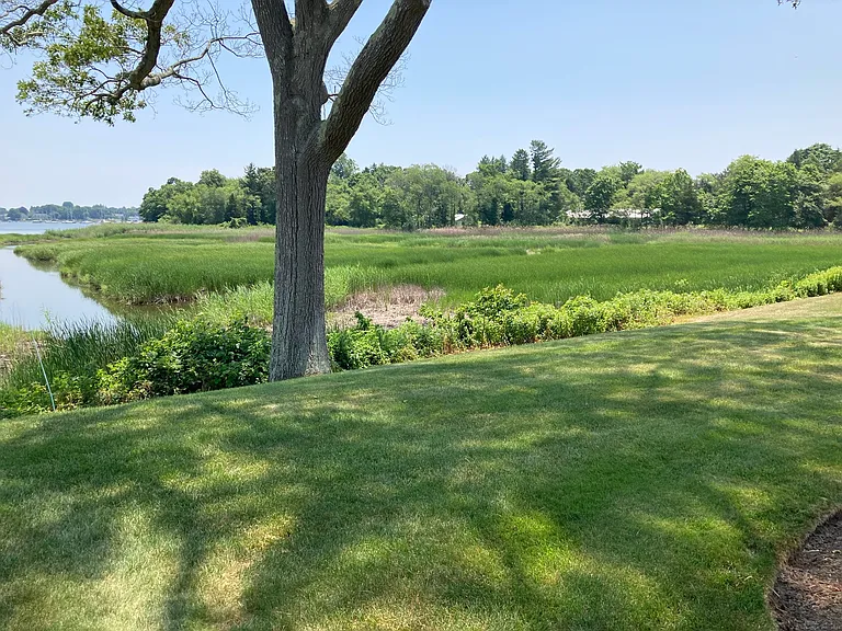 100 Dudley Ave #25 — Photo 23