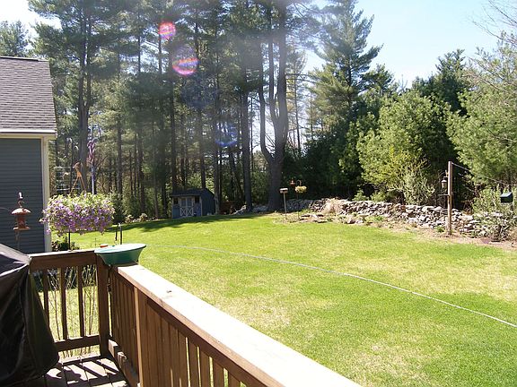 Nice back yard
