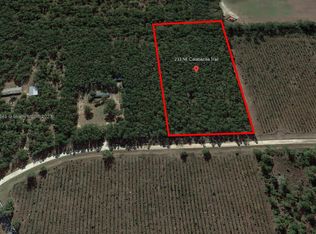 233 NE Calabazilla Trl, Lee, FL 32059