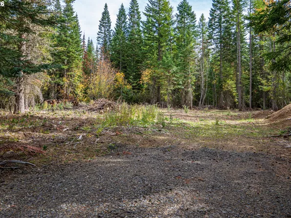 77875 Cold Springs Loop, Weston, OR 97886