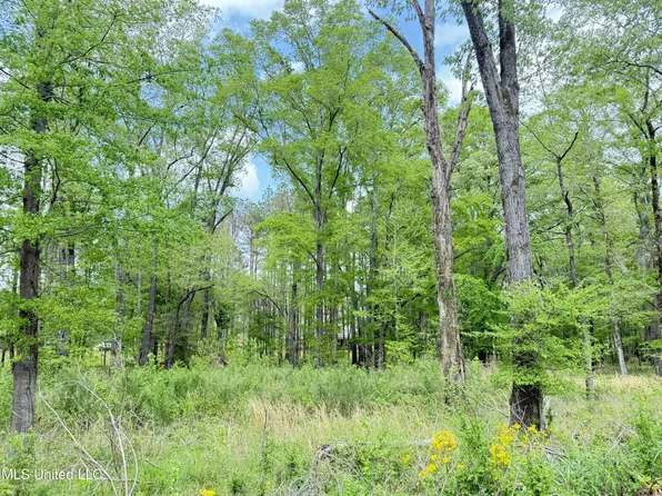 342 Bellechase Dr, Clinton, MS 39056