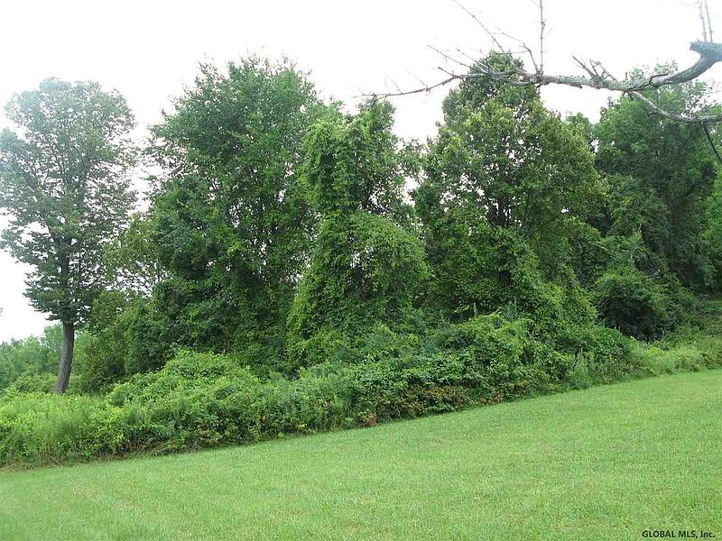 4th image of 0 SETTLES MOUNTAIN Road