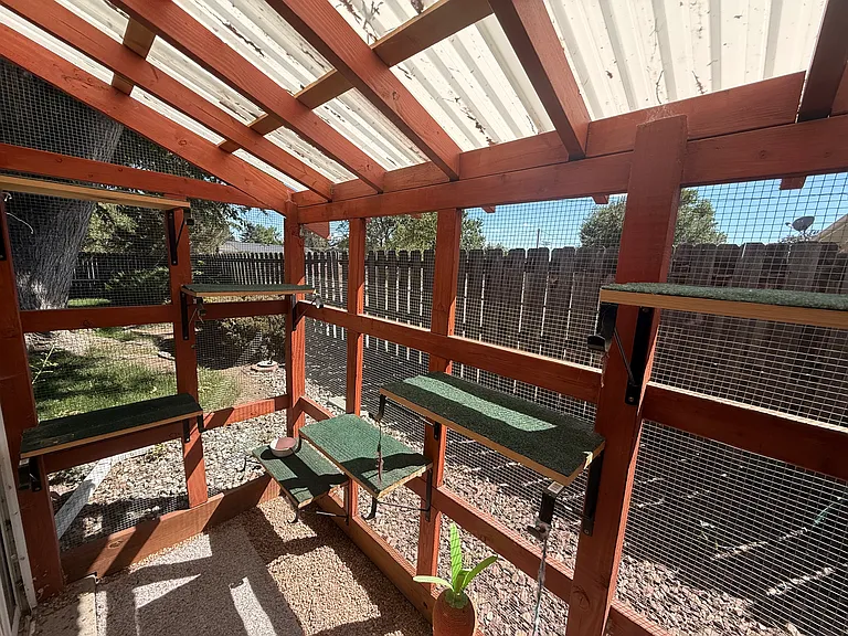 922 Paloverde Dr — Photo 5