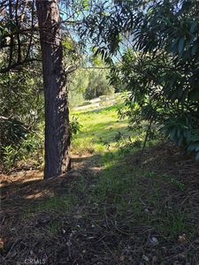 3430 Toyon Ct Lot 1, Kelseyville, CA, 95451