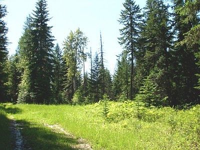 2nd image of Warland Creek Road
