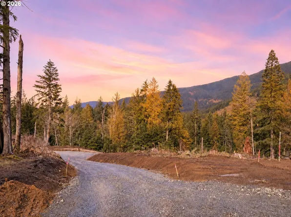 0 E Belle Lake Rd #2, Rhododendron, OR 97049