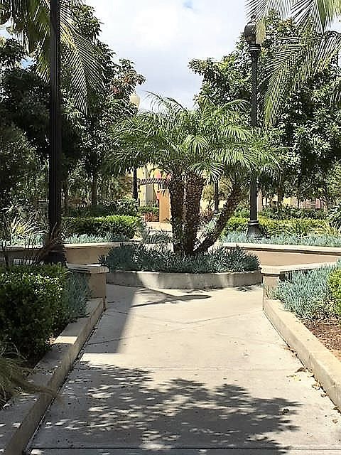 Beautiful Grounds